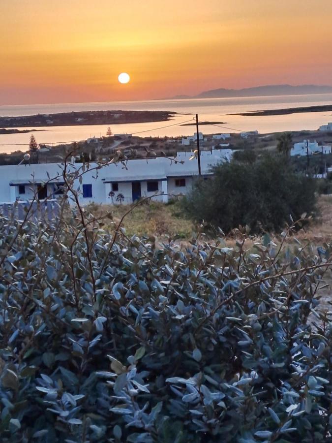Traditional House Paros Σαρακίνικο Εξωτερικό φωτογραφία