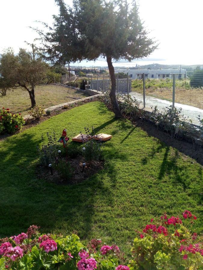 Traditional House Paros Σαρακίνικο Εξωτερικό φωτογραφία