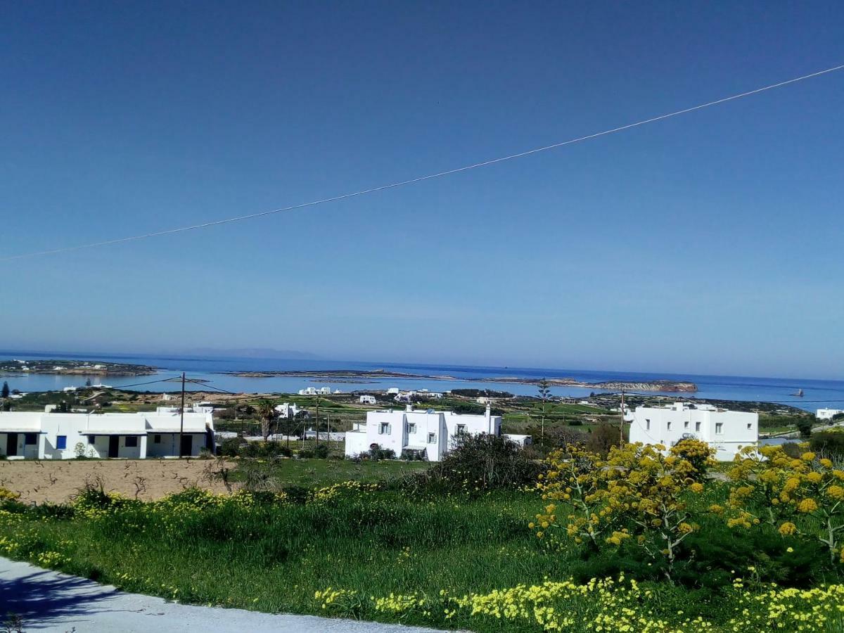 Traditional House Paros Σαρακίνικο Εξωτερικό φωτογραφία
