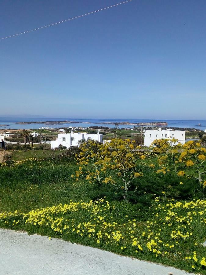Traditional House Paros Σαρακίνικο Εξωτερικό φωτογραφία