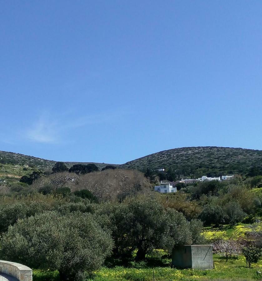 Traditional House Paros Σαρακίνικο Εξωτερικό φωτογραφία