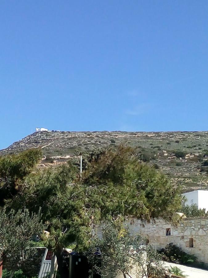 Traditional House Paros Σαρακίνικο Εξωτερικό φωτογραφία